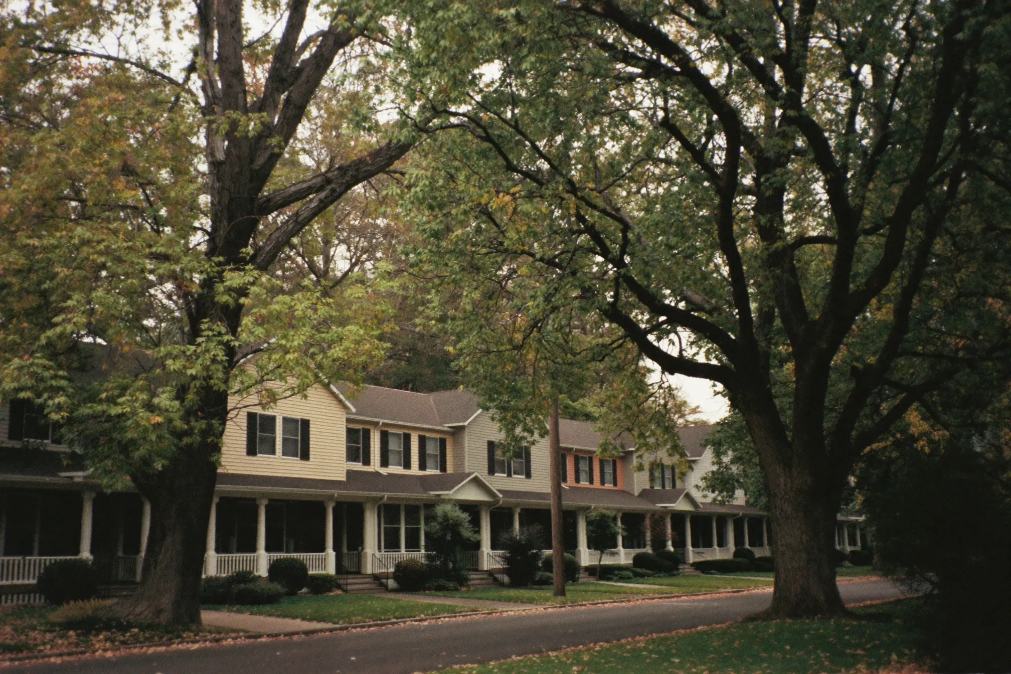 A tree-lined street of craftsman bungalows in Boise’s North End